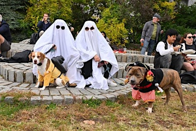 Halloween Harvest Festival | Socrates Sculpture Park