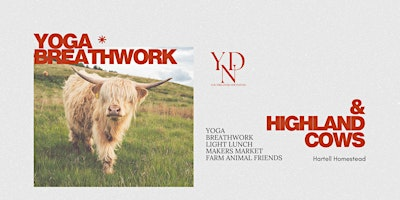 Highland Cow Yoga & Breathwork | Alberta 543