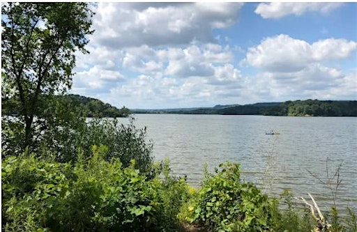 Hamilton Chapter Summer Picnic and Hike at Princess Point | Princess Point Canoe Launch