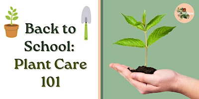 Back to School: Plant Care 101 | B. Willow