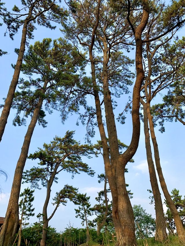 전남 신안 힐링여행지 추천-!