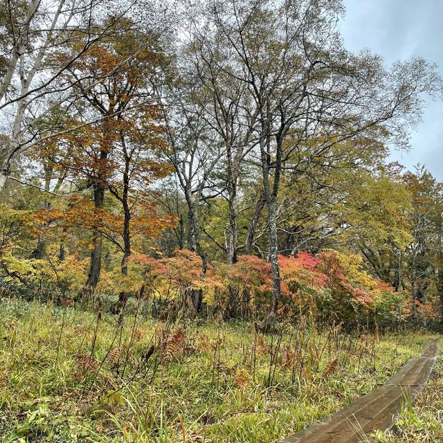 関東にある広大な大自然 尾瀬