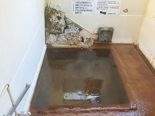 【大分】ソーダ温泉、日本一の炭酸風呂