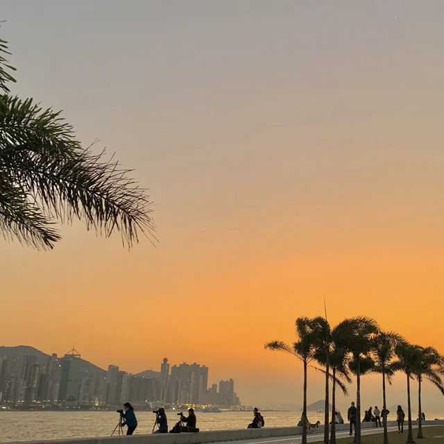 西九龍海濱長廊，你的詩和遠方