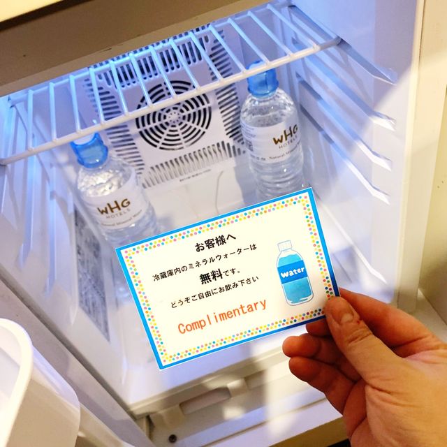 ホテルグレイスリー札幌