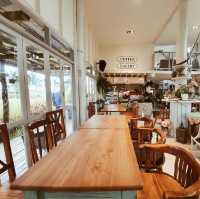 คาเฟ่บรรยากาศร่มรื่น