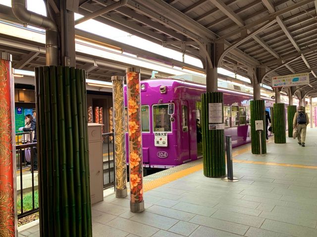 京都　KYOTO SAKURAめぐり❗️竹林の小径〜嵐山公園(亀山地区)〜保津峡のあたりを散策してみた！