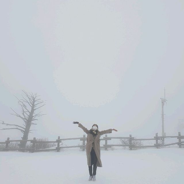 무주 덕유산 곤도라 타고 눈꽃구경!