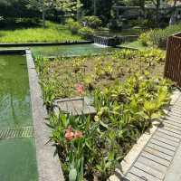 綠草如茵的花園 📍屯門