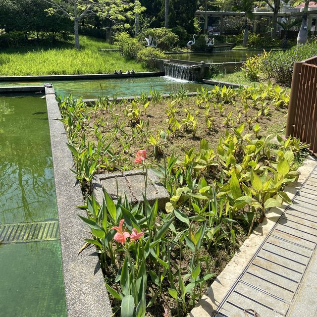 綠草如茵的花園 📍屯門