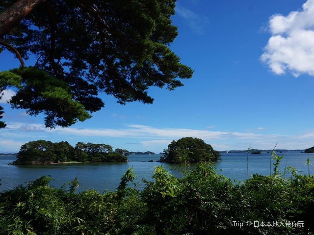日本三大絕景｜松島📸️📸️