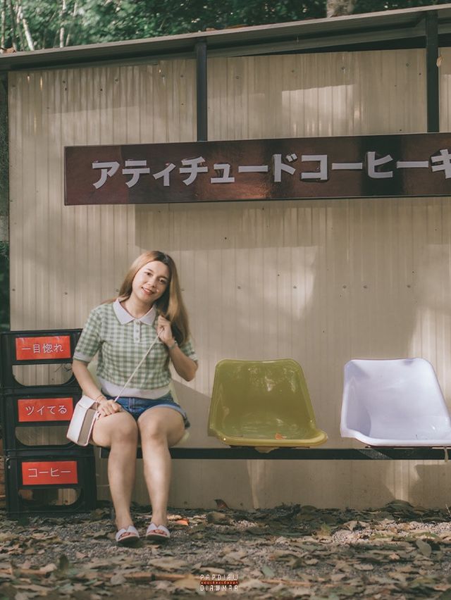 คาเฟ่แคมป์ปิ้งในสวนป่ายาง