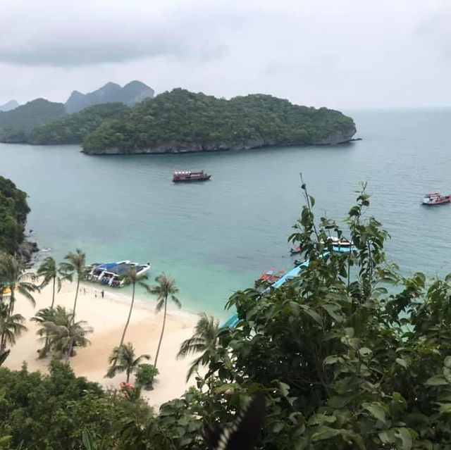 ติดเกาะฟินๆ