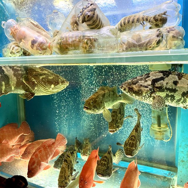 ［財記辣蟹私房菜］- 生猛海鮮、鑊氣小炒😋