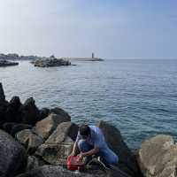 강릉에서 아빠랑 바다낚시하기 🌊🐟