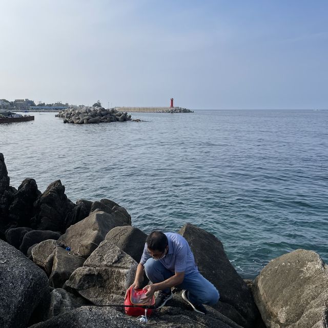 강릉에서 아빠랑 바다낚시하기 🌊🐟