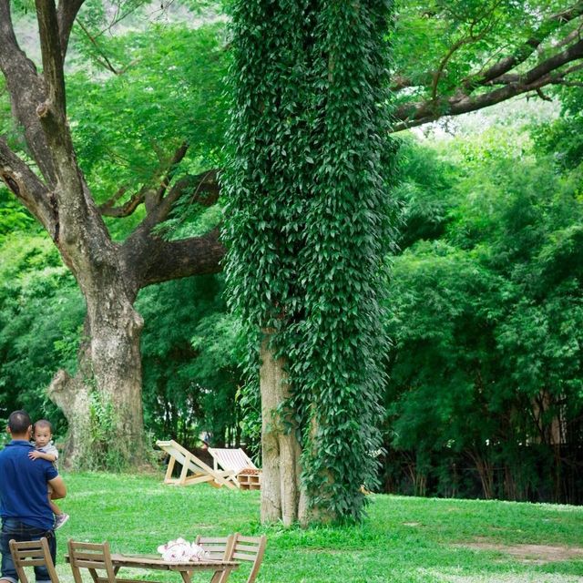 คาเฟ่ที่มีวิวสวนสวยๆ สีเขียวๆสลายตาสุดๆ