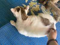 แก่งกื้ด ล่องแพ แม่แตงเชียงใหม่