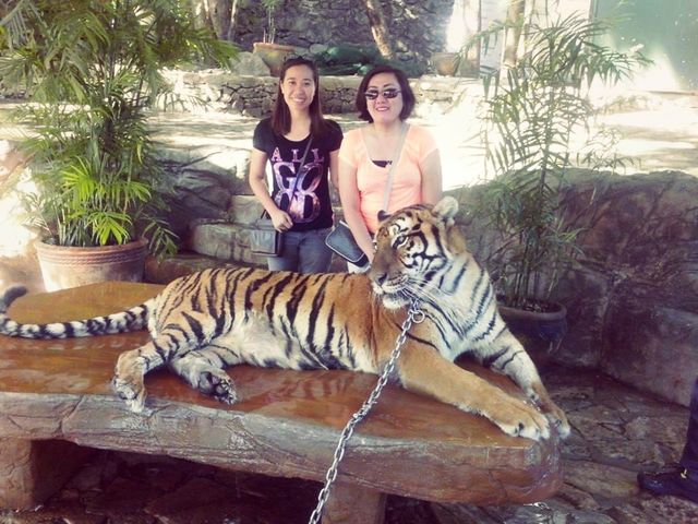 BALUARTE in VIGAN