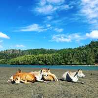 Mantanani Island the paradise 