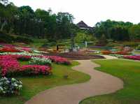 ชมดอกไม้นานาพันธุ์ที่สวนเเม่ฟ้าหลวง