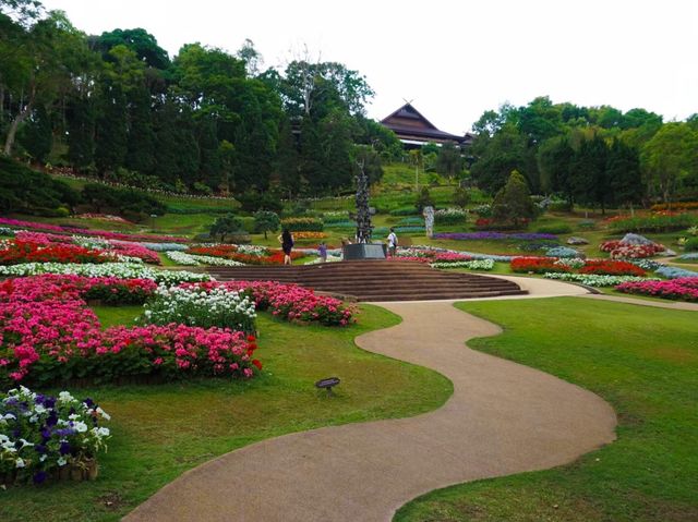 ชมดอกไม้นานาพันธุ์ที่สวนเเม่ฟ้าหลวง