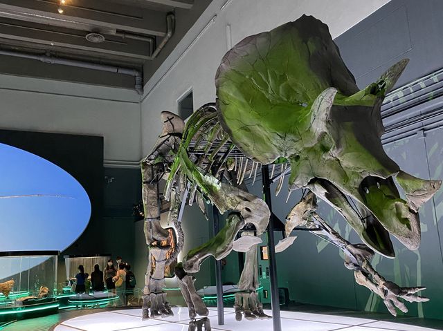 🦕八大．尋龍記🦖
