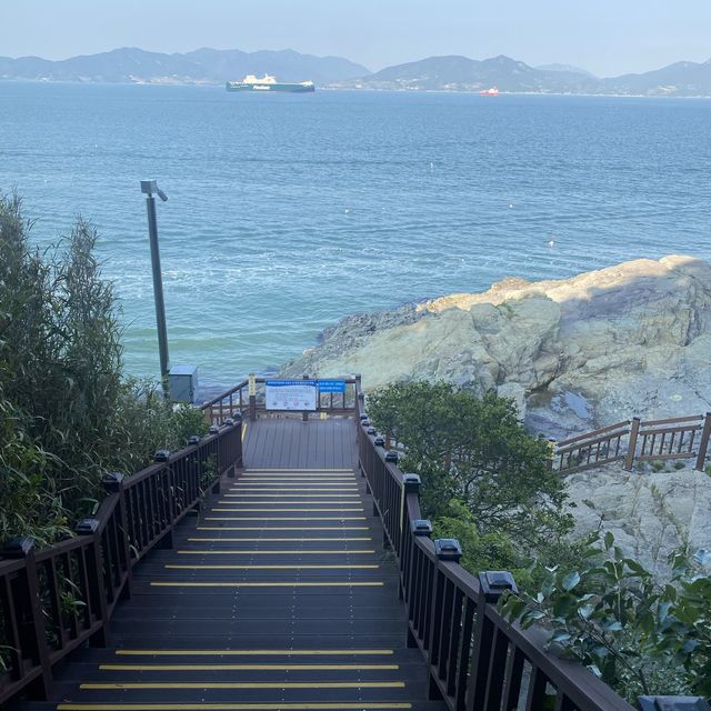 동백이 피지 않는 계절에도 여전히 이쁜, 오동도🌺