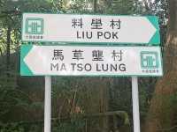 馬草壟村郊遊