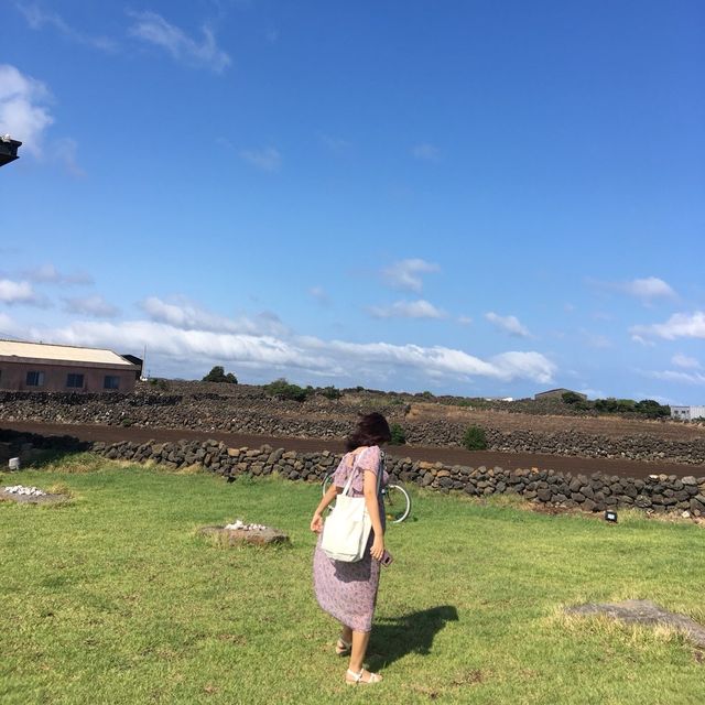제주도 동쪽 1인 게스트하우스 추천💚