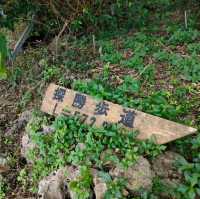 【沖縄 八重瀬】ホロホローの森✨✨🍁