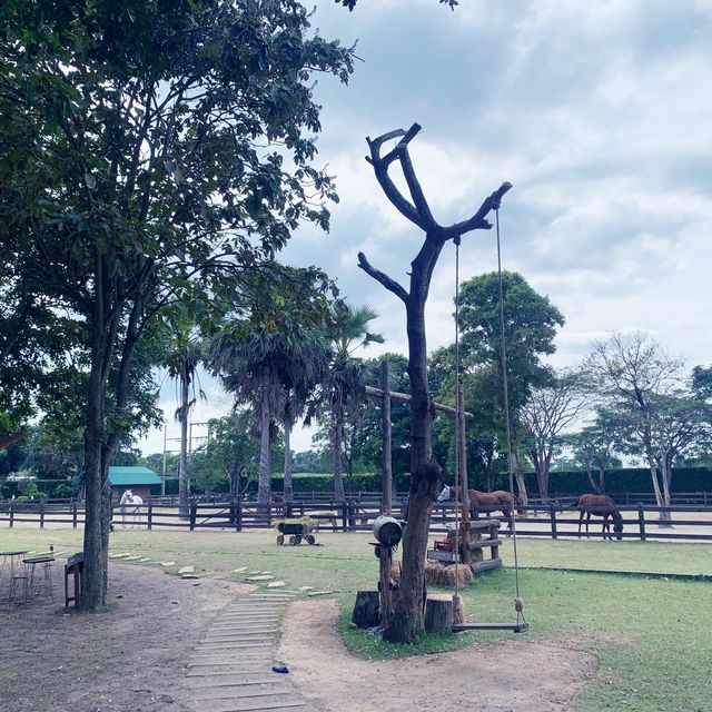 Cafe in Khao Yai with Horse Field View