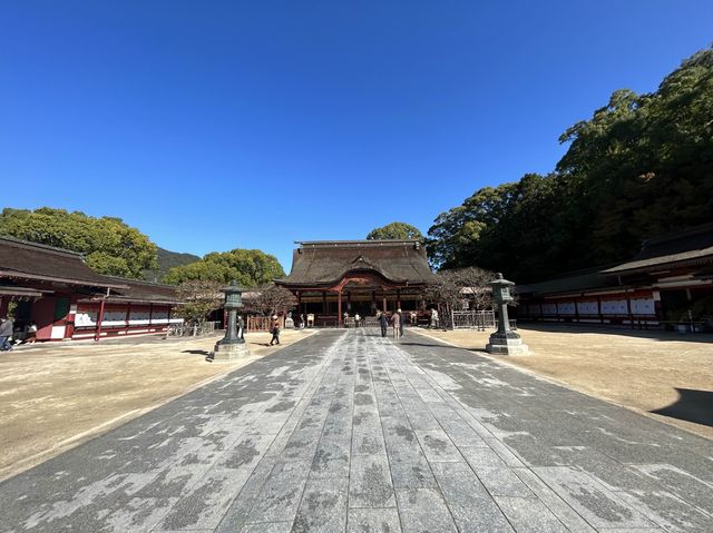 【太宰府天満宮】大菊華展🪷