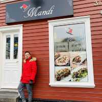 city tour in reykjavik