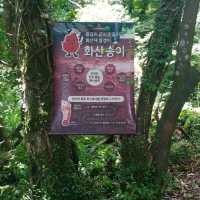 제주도 제주시에 있는 에코랜드에 방문해보자