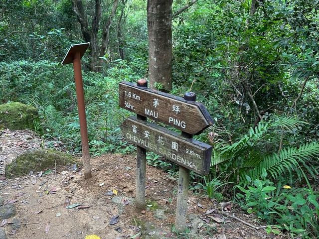 北港➡️茅坪➡️昂平營地