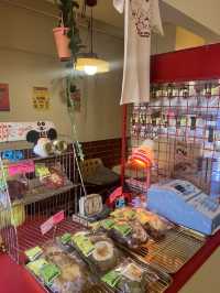 韓国/ソウル【望遠】雑貨も売ってる🍒💛かわいいカフェ🧸