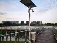 Jurong Lake Floating Wetlands - Part 1