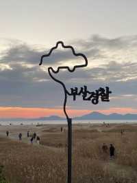 365일 아름다운 다대포 해수욕장💓