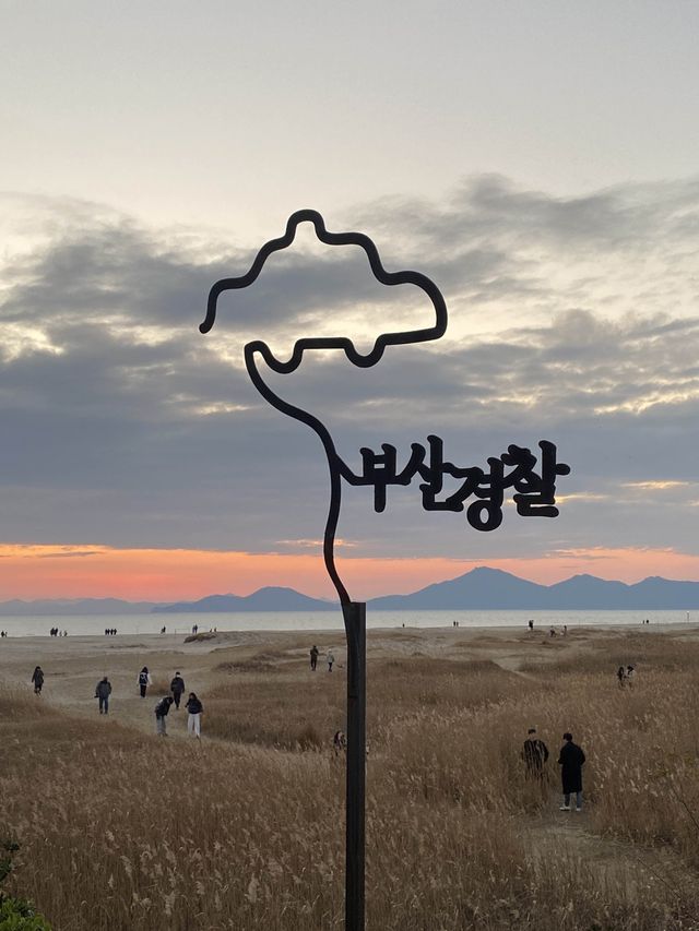 365일 아름다운 다대포 해수욕장💓