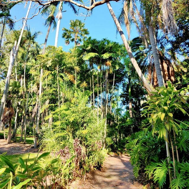 Lovely Rockhampton Botanic Garden