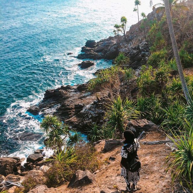 nasi island