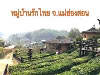 ชมไร่ชา ซึมซับวิถีชีวิตชาวจีนยูนนานท่ามกลางสายหมอก