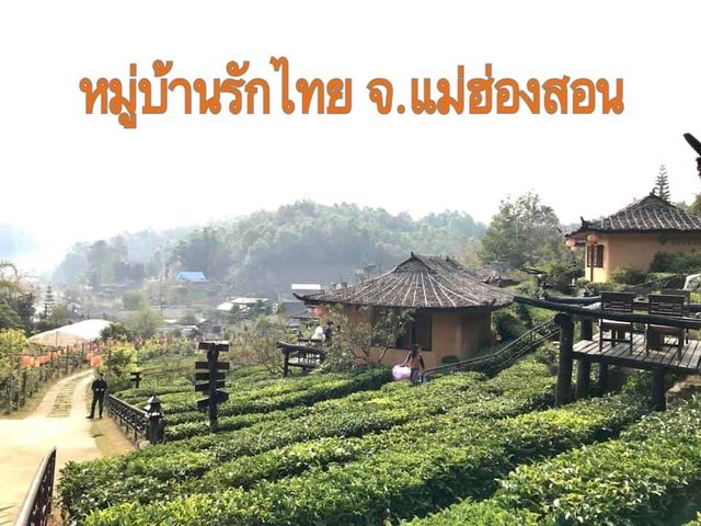 ชมไร่ชา ซึมซับวิถีชีวิตชาวจีนยูนนานท่ามกลางสายหมอก