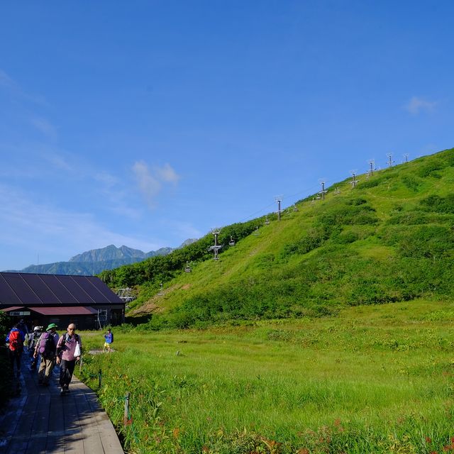 夏の鎌池湿原