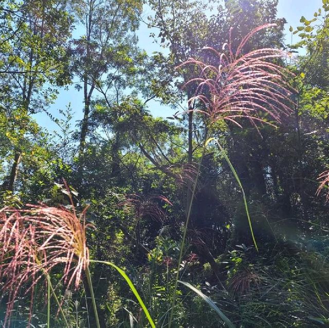 水浪窩彎曲山行山