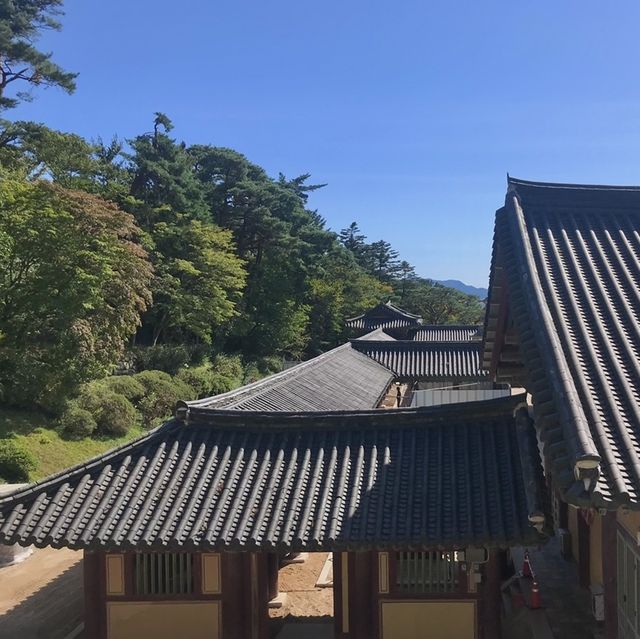 경주 여행 필수코스, 불국사