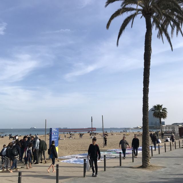 [스페인 바르셀로나] 해변길을 따라 걸으며 즉흥적으로 가게 들어가보기
