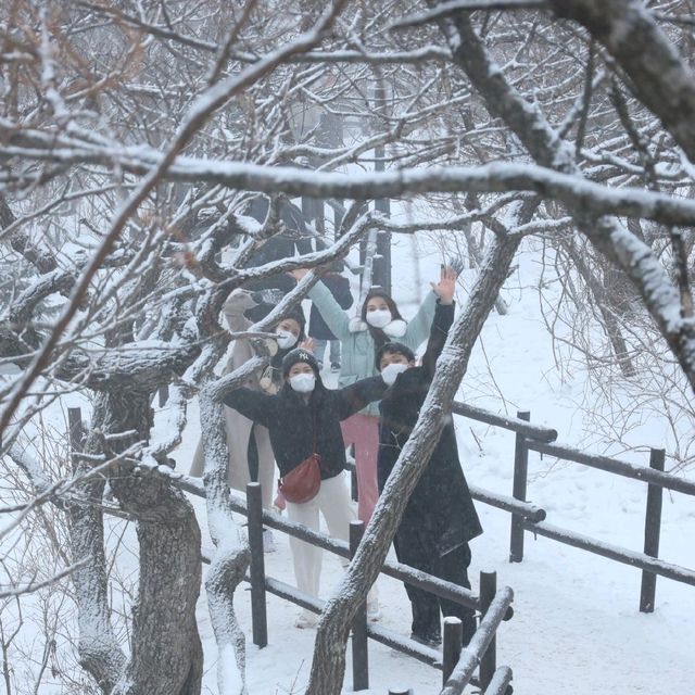 겨울가볼만한곳 1박2일 무주여행 덕유산 눈꽃산행

