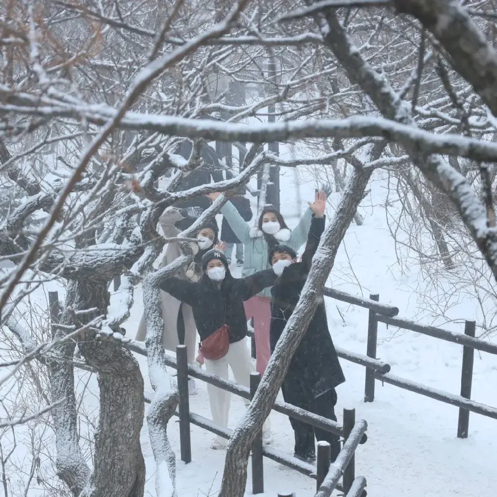 겨울가볼만한곳 1박2일 무주여행 덕유산 눈꽃산행